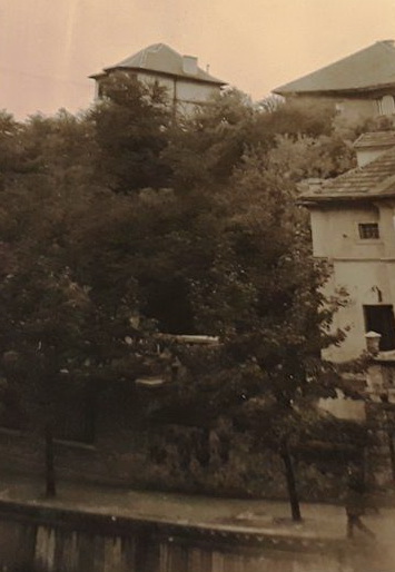 Mesnička ulica 1942. godine